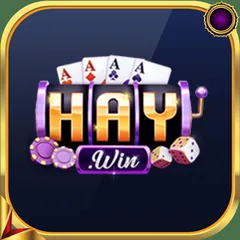 Logo HAYWIN